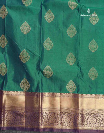 Semi Silk Saree - Dual Tone Green Colour Body With Contrast Dark Brown Traditional Evening Morning Border