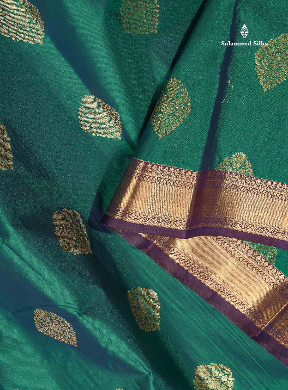 Semi Silk Saree - Dual Tone Green Colour Body With Contrast Dark Brown Traditional Evening Morning Border