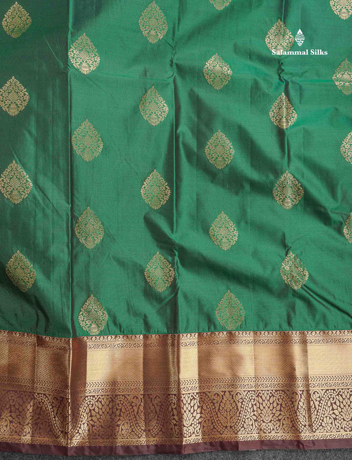 Semi Silk Saree - Dual Tone Green Colour Body With Contrast Dark Brown Traditional Evening Morning Border