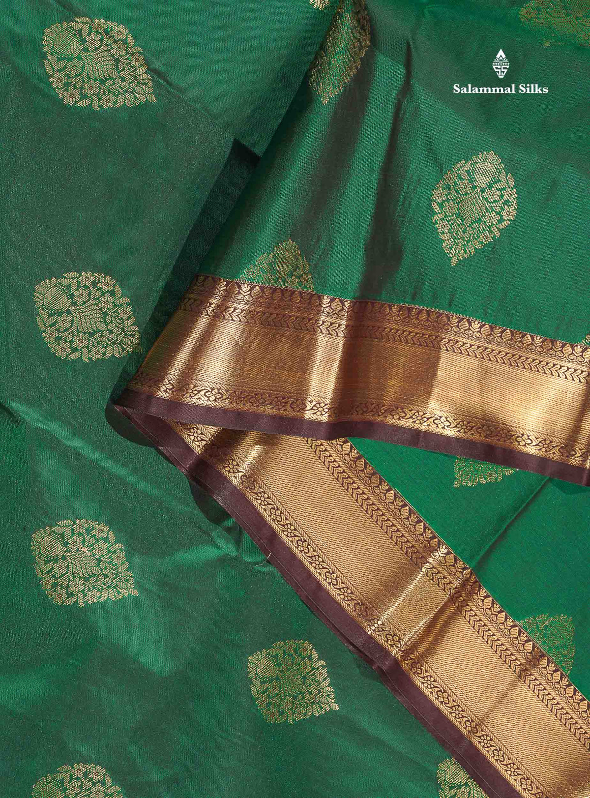 Semi Silk Saree - Dual Tone Green Colour Body With Contrast Dark Brown Traditional Evening Morning Border