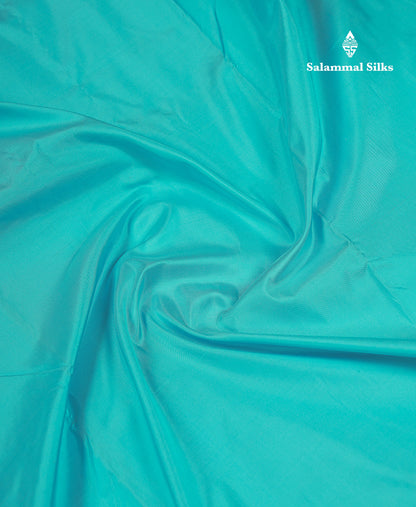 Beautiful Sky Blue 9 Yards Pure Kanjivaram Silk Saree With (3.5inch) Dark Magenta Border