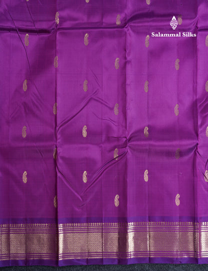 Vadamalli Pure Kanjivaram Silk Saree With Self One Side Border