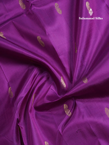 Vadamalli Pure Kanjivaram Silk Saree With Self One Side Border