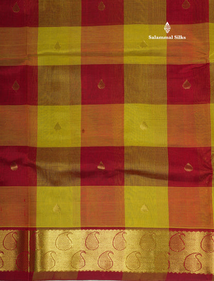 Multicolour Paalum Pazham Checks Pure Silk Cotton Saree With Traditional Gold Zari Border