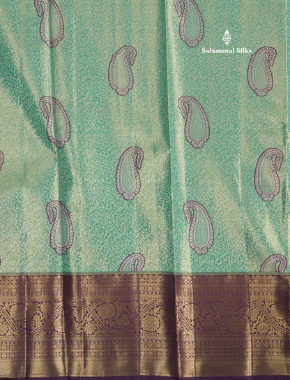 Light Green Tissue Bridal Semi Silk Saree With Contrast Magenta Border