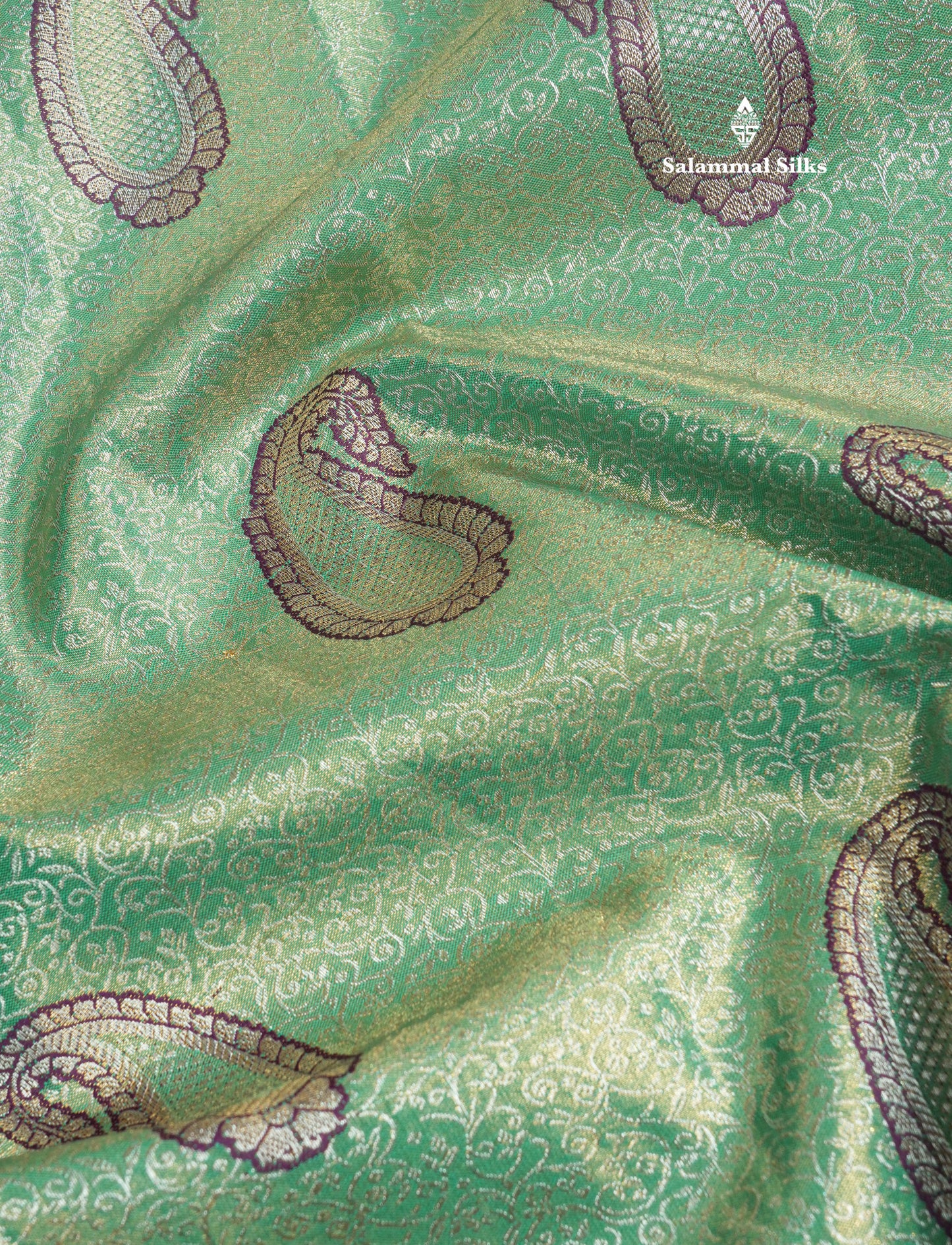 Light Green Tissue Bridal Semi Silk Saree With Contrast Magenta Border