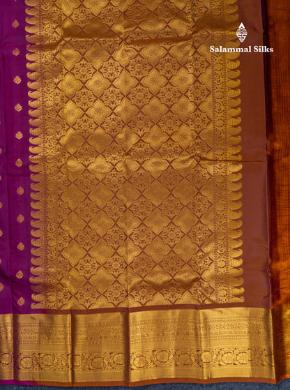 Magenta Puremix Silk Saree With Contrast Brown Blouse