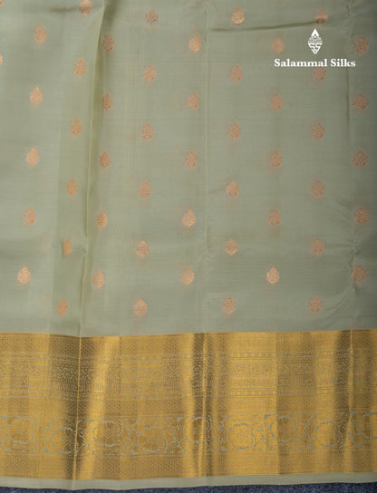Light Elaichi Green Puremix Silk Saree With Contrast Mustard Yellow Blouse
