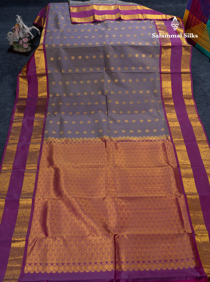Light Elephant Grey Puremix Silk Saree With Contrast Vadamalli Traditional Rettapet Border