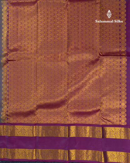 Light Elephant Grey Puremix Silk Saree With Contrast Vadamalli Traditional Rettapet Border