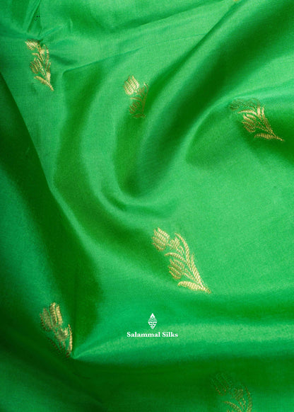 Kanjivaram Pure Silk Saree Parrot Green With Magenta Pink Blouse