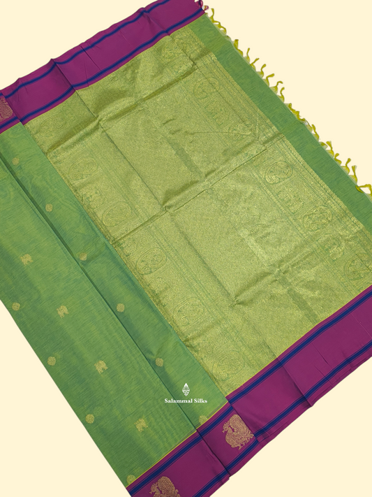Parrot Green Beautiful Pure Cotton With Magenta Rose Border