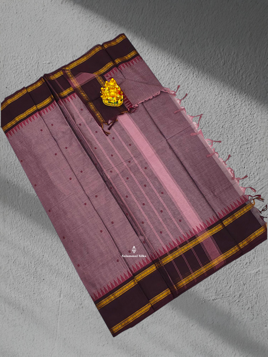 Light Brown Beautiful Pure Cotton Saree With Dark Brown Border