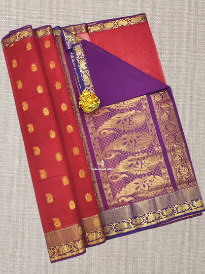 Grey Beautiful Mesmerised Cotton Saree With Maroon Tissue And Butta Border