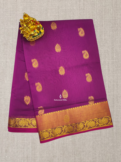 Grey Beautiful Mesmerised Cotton Saree With Maroon Tissue And Butta Border