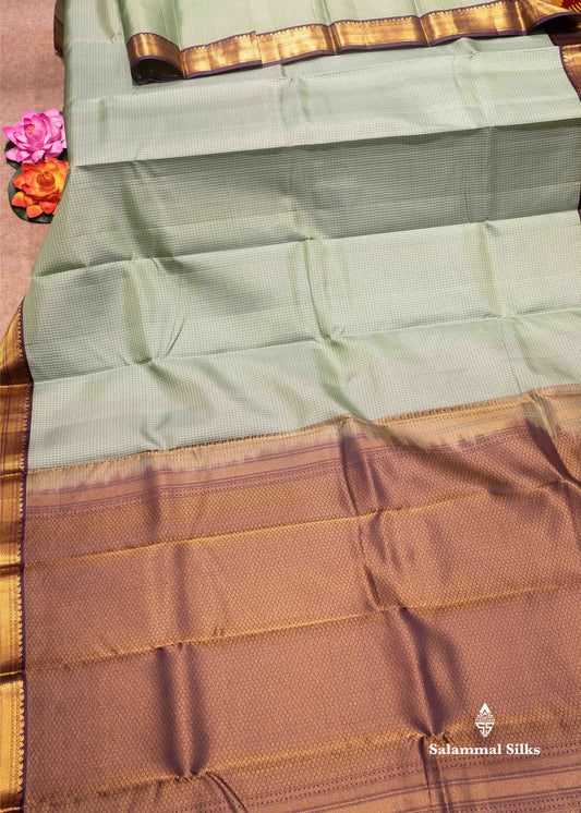 Light Green Colour Small Checks Kanjivaram Pure Silk Saree With Violet Small Size Border