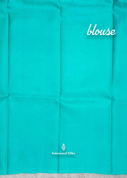 Kanjivaram Palum Pazham Checks Pure Silk Saree With Sea Green Blouse