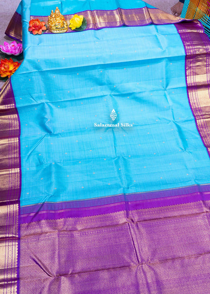 Kanjivaram Sky Blue Pure Silk Saree With Korvai Vadamalli Colour Border