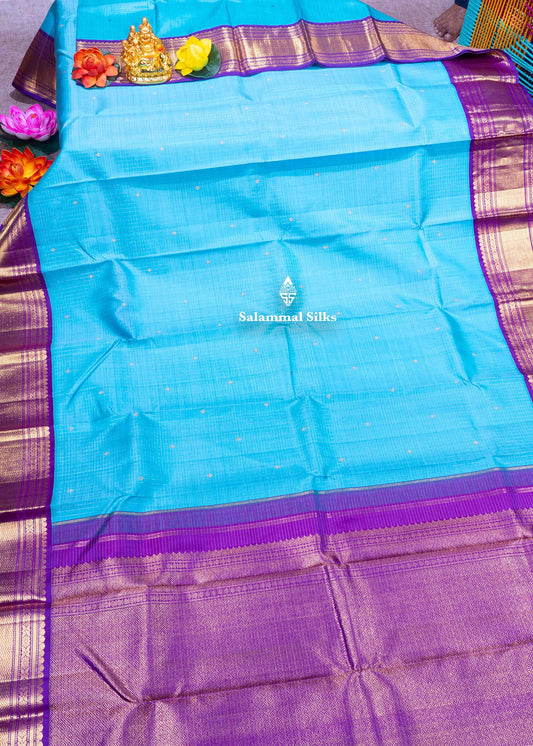 Kanjivaram Sky Blue Pure Silk Saree With Korvai Vadamalli Colour Border