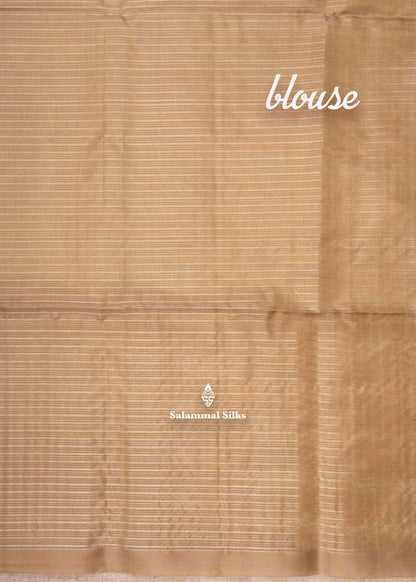 Kanjivaram Pista Green Colour Kora Pure Silk Saree With Blouse