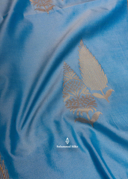 Pastel Blue Semi Soft Silk Saree With Maroon Colour Blouse