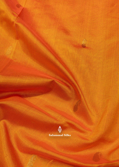Orange Pure Silk Cotton Saree With Dark Maroon Blouse