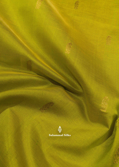 Green Pure Silk Cotton Saree With Sky Blue Blouse