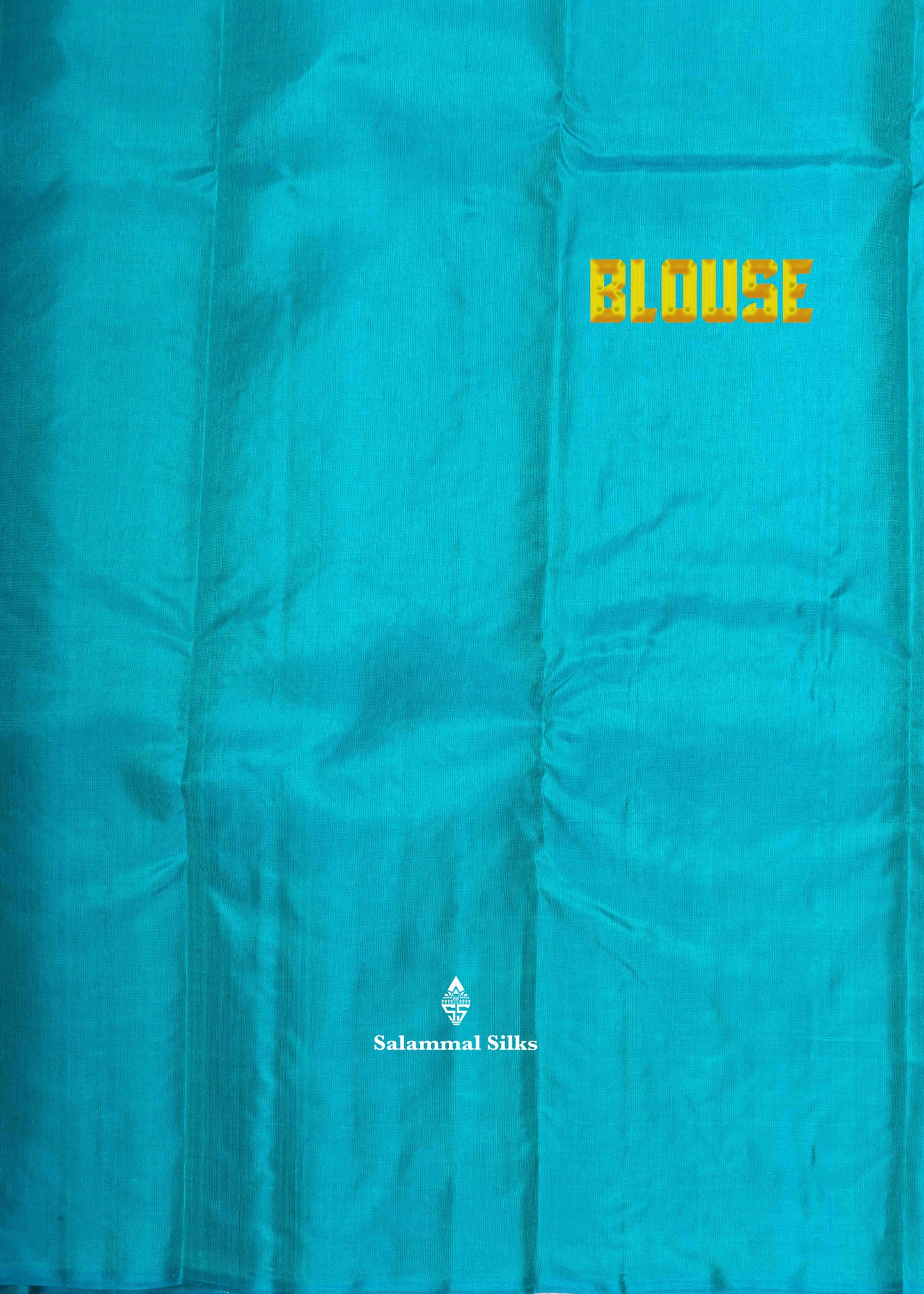Kanjivaram Blue Fancy Pure Silk Saree With Sea Green Blouse