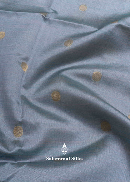 Light Lavender Semi Tussar Fancy Saree With Traditional Temple Border