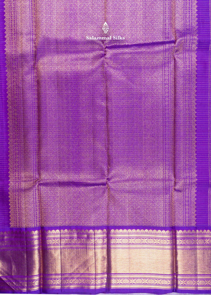 Kanjivaram Sky Blue Pure Silk Saree With Korvai Vadamalli Colour Border