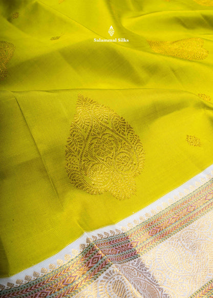 Kanjivaram Manthulir Yellow Pure Silk Saree With Half White Border