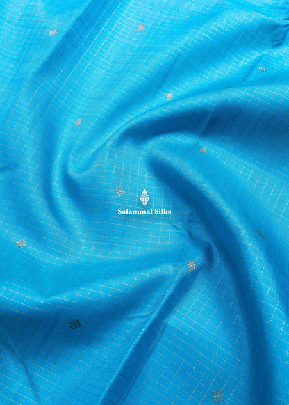 Kanjivaram Sky Blue Pure Silk Saree With Korvai Vadamalli Colour Border