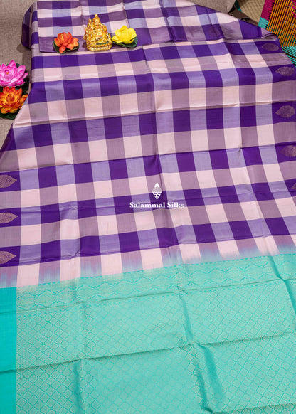 Kanjivaram Palum Pazham Checks Pure Silk Saree With Sea Green Blouse