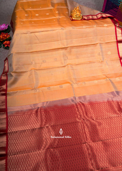 Kanjivaram Pure Silk Saree Lavender With Maroon Border
