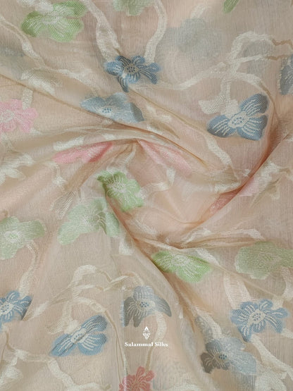 Light Peach Fancy Saree With Silvar Zari Border
