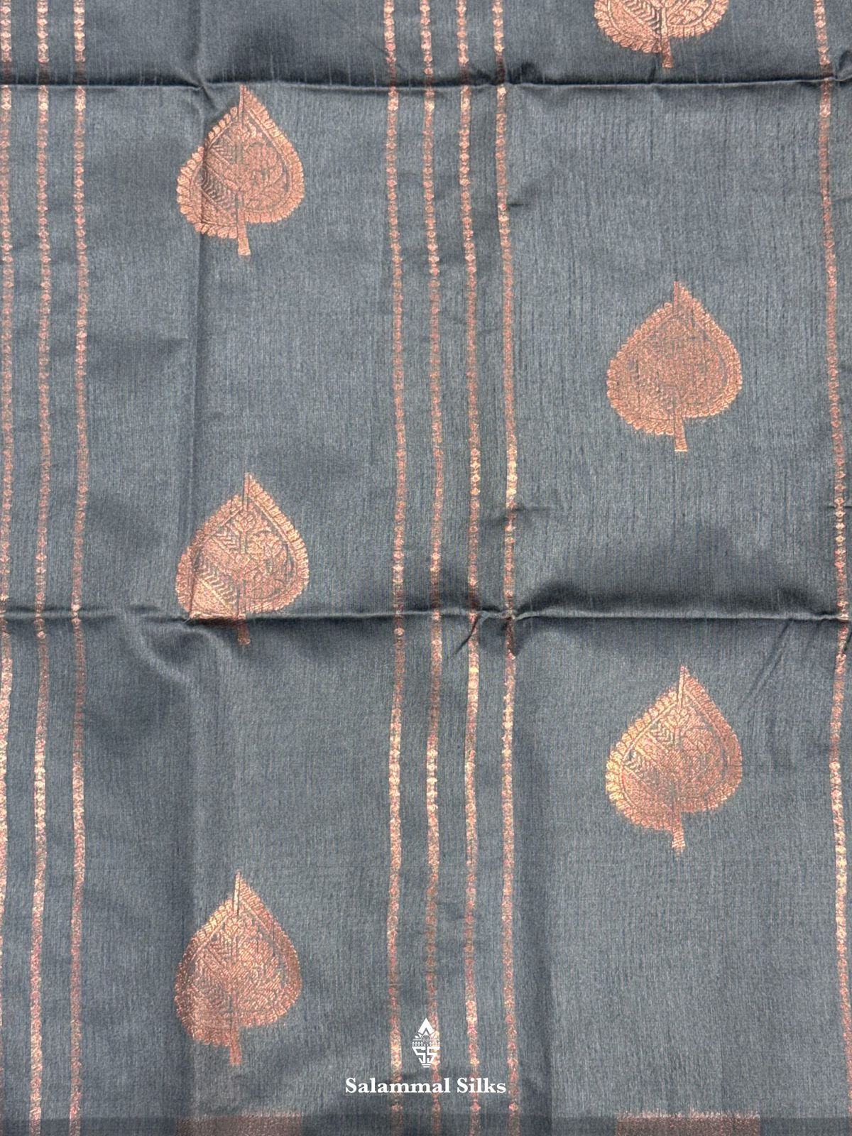Grey Fancy Saree WithOut Border