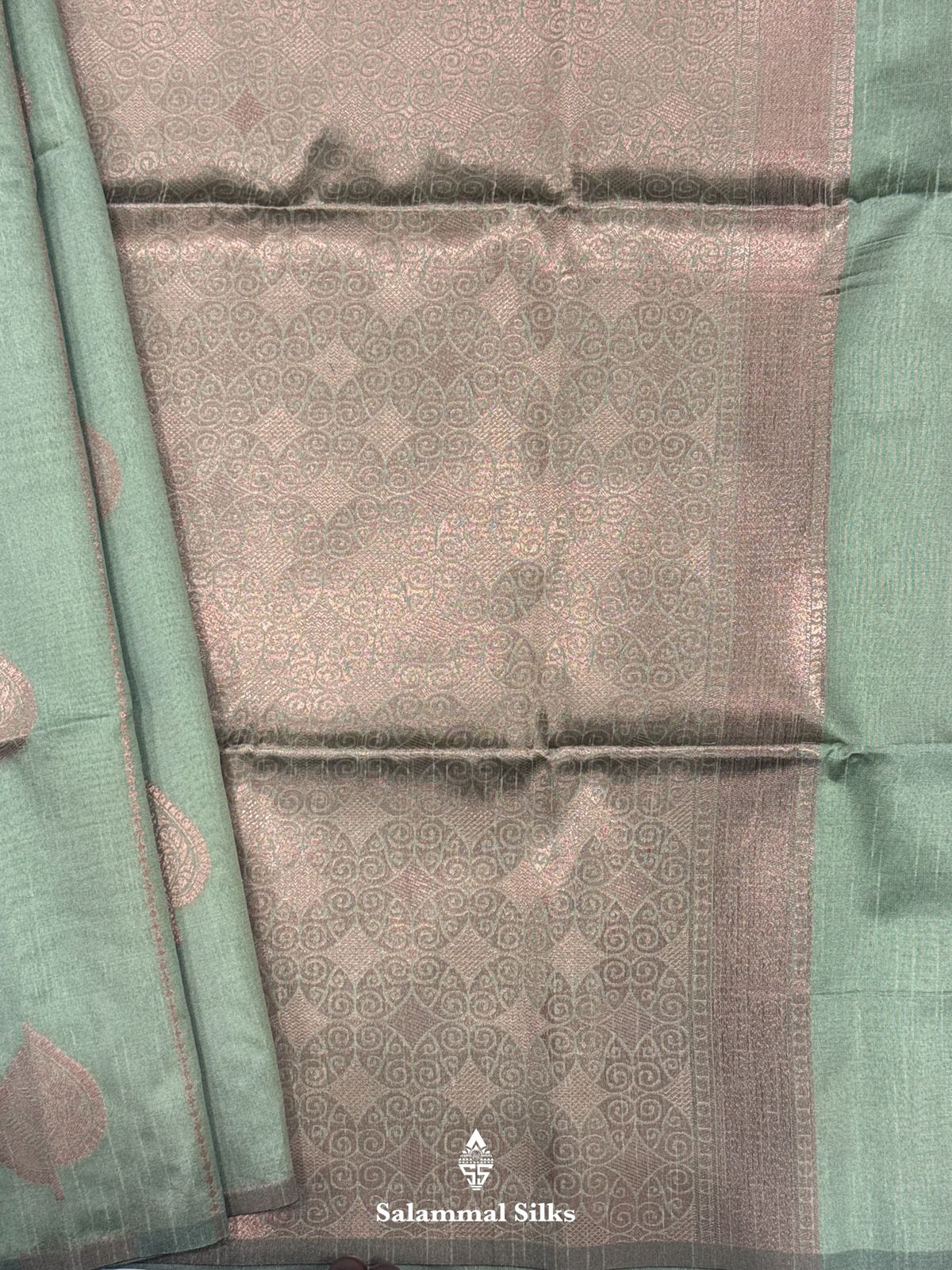 Grey Fancy Saree WithOut Border