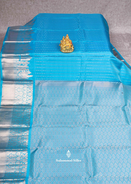 Ramar Blue Kanjivaram Pure Silk Saree with Pallakku Fancy Border and Blouse