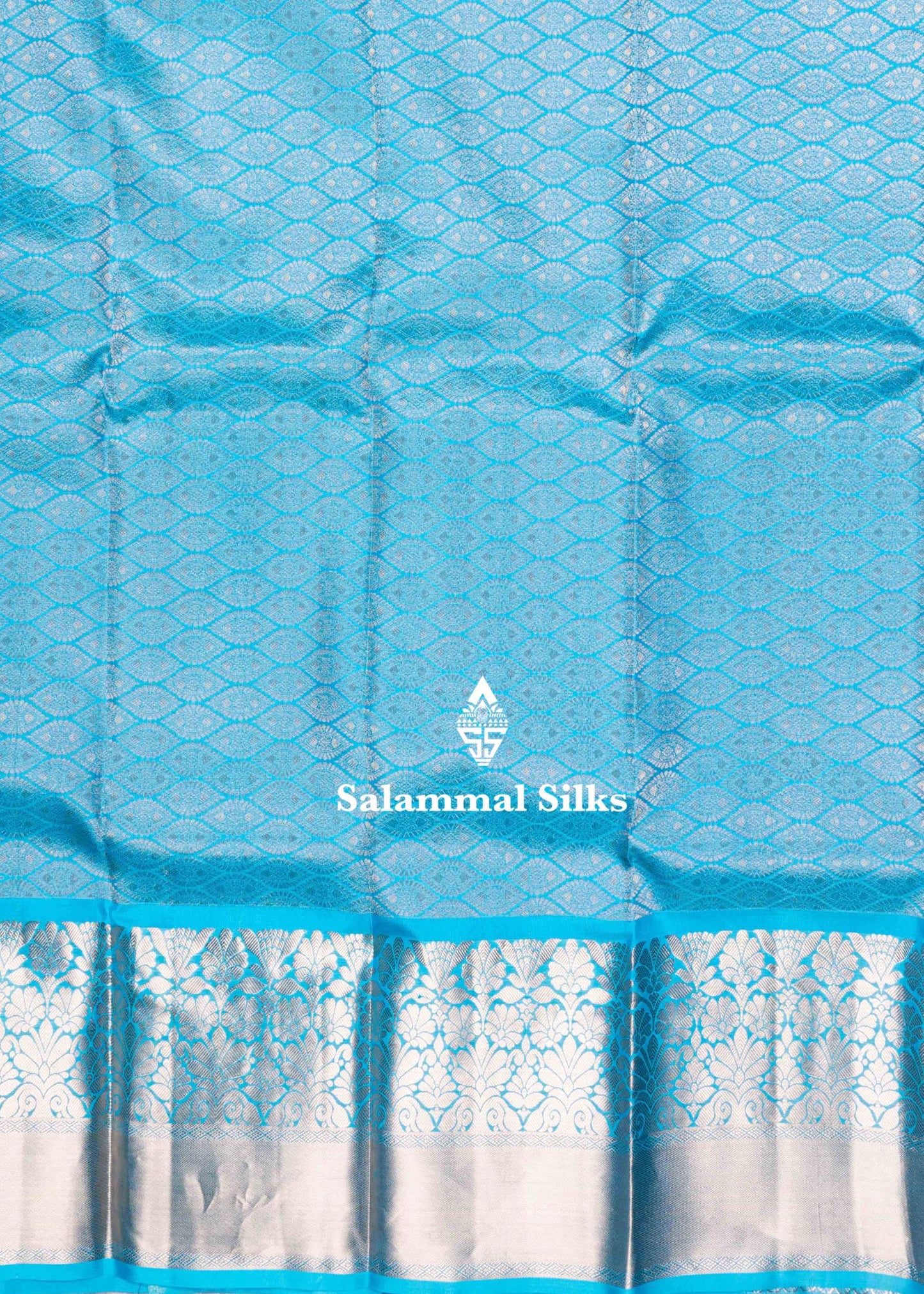 Ramar Blue Kanjivaram Pure Silk Saree with Pallakku Fancy Border and Blouse