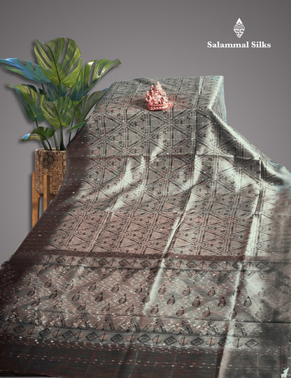 Light Grey Fancy Saree With  Blouse